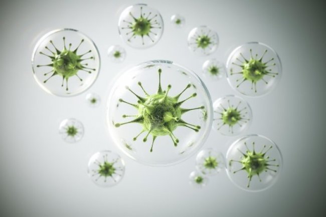 Virus Mirip Covid-19 Ditemukan pada Kelelawar di Brasil