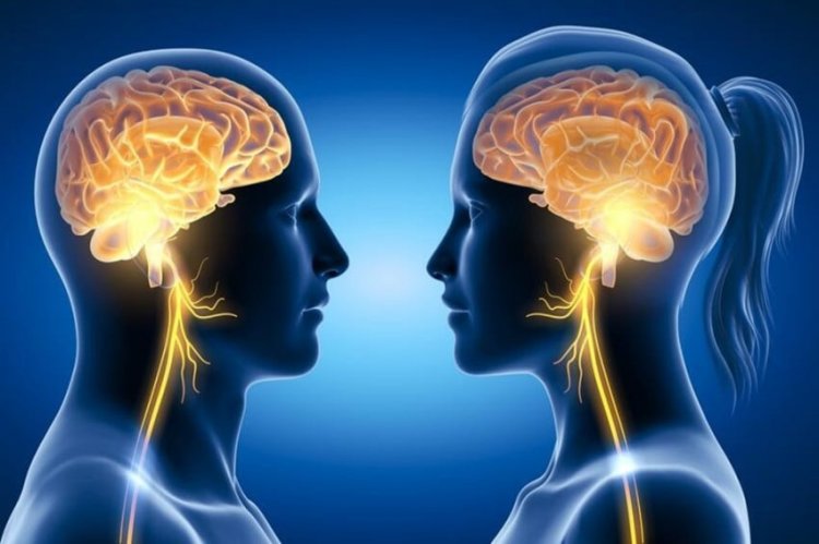 Studi Baru Ungkap Otak Pria Menyusut Lebih Cepat Dibanding Perempuan Seiring Bertambahnya Usia