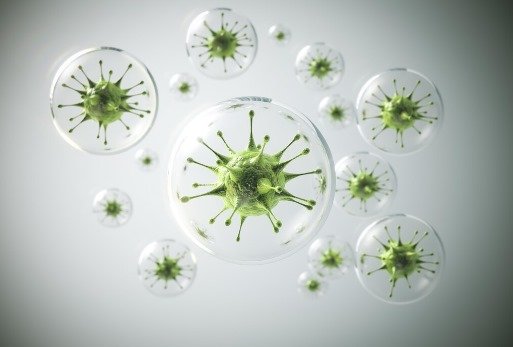 Virus Mirip Covid-19 Ditemukan pada Kelelawar di Brasil