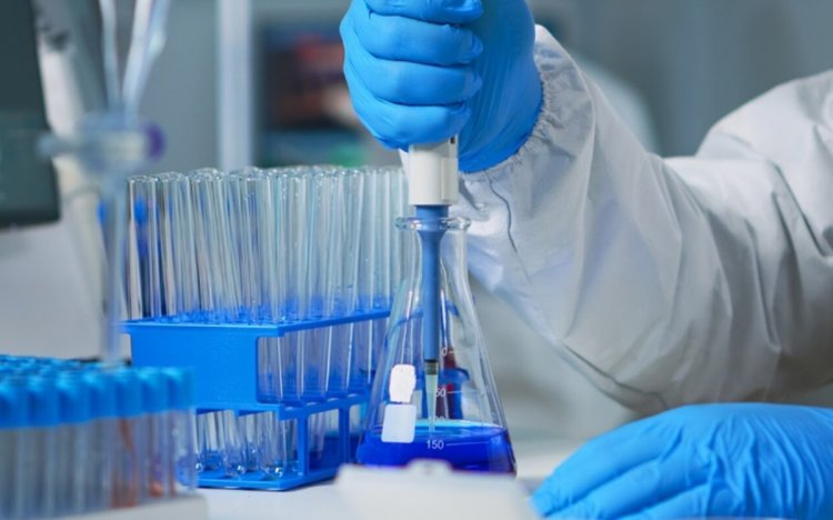 Studi Ungkap Virus Epstein-Barr Jadi Pemicu Penyakit Lupus