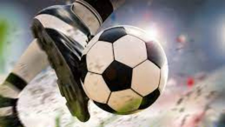 Pelatih Irlandia Heimir Hallgrimsson Masuk Bursa Pengganti Patrick Kluivert