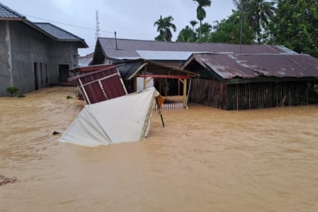 Ansor Aceh Nilai Respons Bencana Sumatra Lamban, Desak Pemerintah Buka Bantuan Internasional