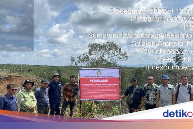 Kemenhut Segel 4 Subjek Hukum Terduga Penyebab Bencana Sumatera