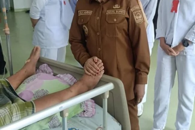 DBD Meningkat, Dinas Kesehatan Dharmasraya Aktif Lakukan Sosialisasi  - KlikPositif.com