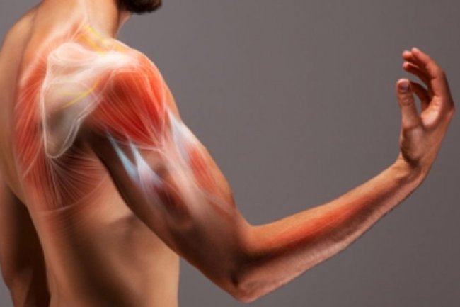 Bukan Hanya Milik Lansia, Usia 20-an Juga Bisa Kehilangan Massa Otot