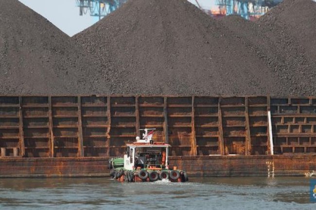 Rekor Palsu Batu Bara: Dunia Sudah Jenuh, Harga Bakal Terjun Bebas?