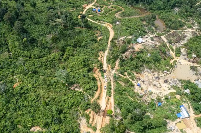 Satgas PKH Tagih Denda Rp2,34 Triliun dari Penyalahgunaan Hutan