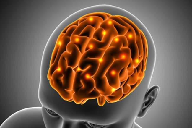 Ilmuwan Kembangkan Otak Mini untuk Deteksi Skizofrenia dan Bipolar