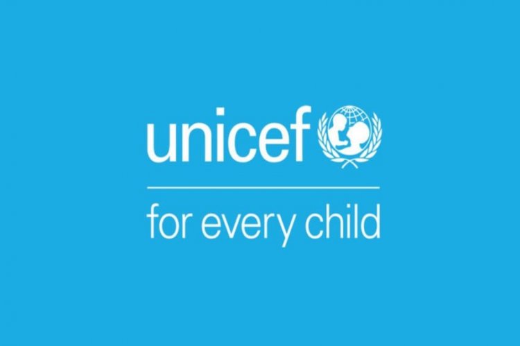 Magang Berbayar di Luar Negeri, UNICEF dan UNHCR Buka Program Internship Internasional