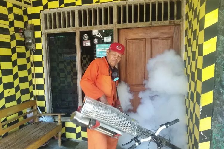 Tiga Pasien DBD di Bojonegoro Meninggal Dunia: Mulai Januari hingga 12 Desember Tercatat 335 Kasus