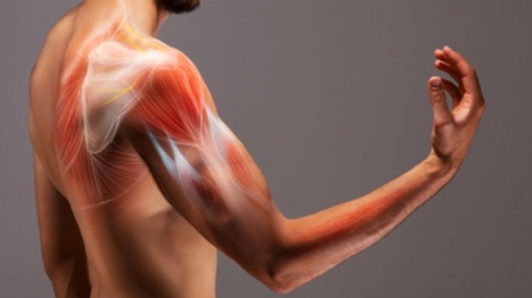 Bukan Hanya Milik Lansia, Usia 20-an Juga Bisa Kehilangan Massa Otot