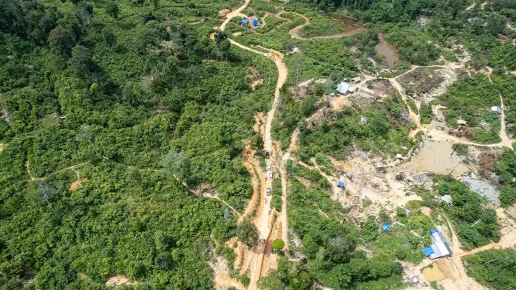 Satgas PKH Tagih Denda Rp2,34 Triliun dari Penyalahgunaan Hutan