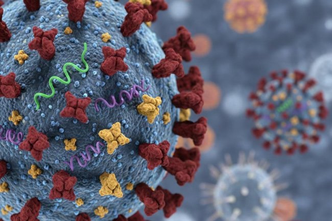 Kemenkes Pastikan Influenza A(H3N2) Subclade K di Indonesia Terkendali