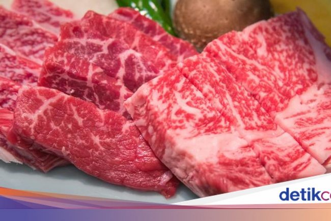 Awal Mula Influencer Alami Kerusakan Ginjal gegara Coba Tren Diet Karnivora