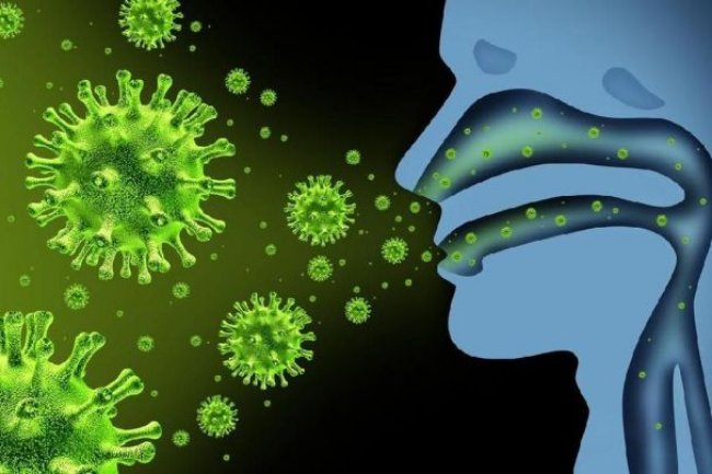 Dinkes Provinsi Gorontalo Pastikan Influenza A(H3N2) Subclade K Belum Ditemukan di Gorontalo