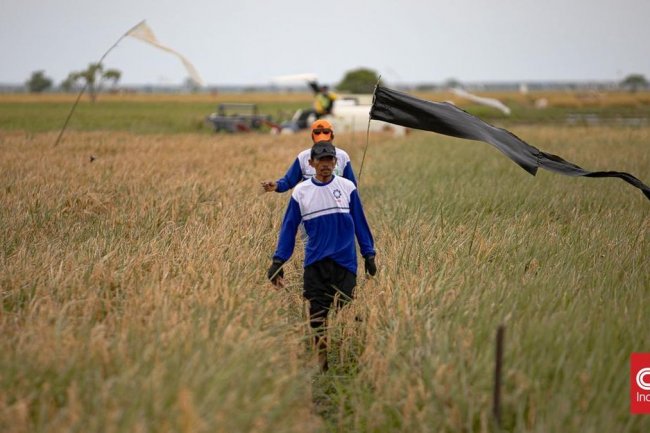 Airlangga soal Lahan Food Estate: Papua Lebih Baik dari Australia