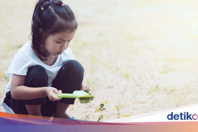 BRIN: 1 dari 7 Anak di RI Terpapar Timbal Kadar Tinggi, Terbanyak di Wilayah Ini