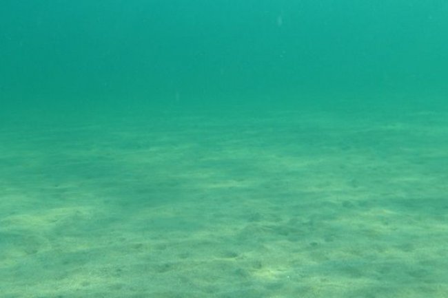 Ilmuwan Uji Klaim Dark Oxygen dari Batu Logam di Dasar Laut