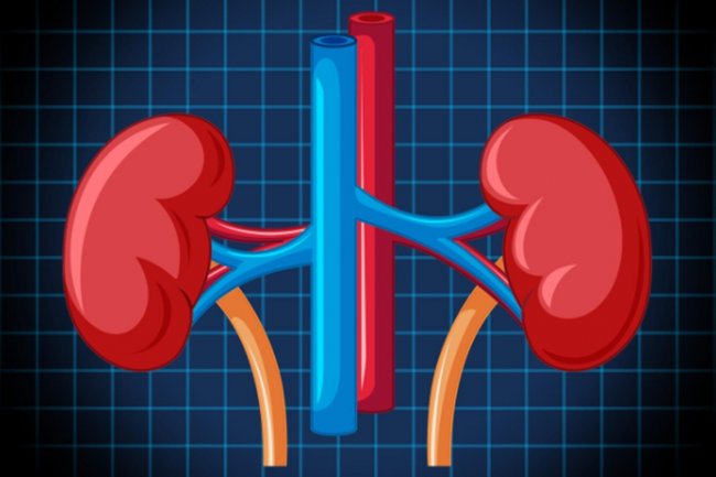 Selisih Hasil Dua Tes Darah Ini Deteksi Risiko Gagal Ginjal dan Jantung