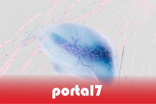 Teknologi Sebagai Jembatan: Mempercepat Akses dan Kualitas Hidup Bangsa