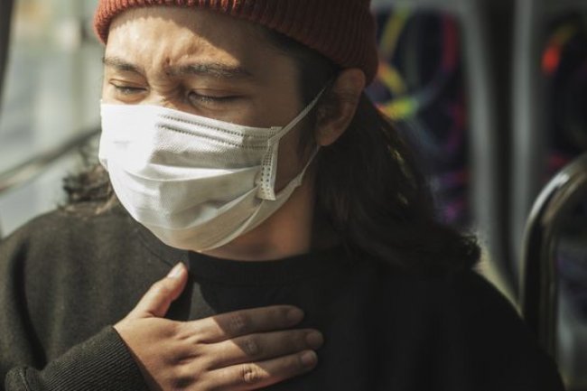 BRIN Ingatkan Potensi Virus Nipah di Indonesia, Kelelawar Jadi Sorotan