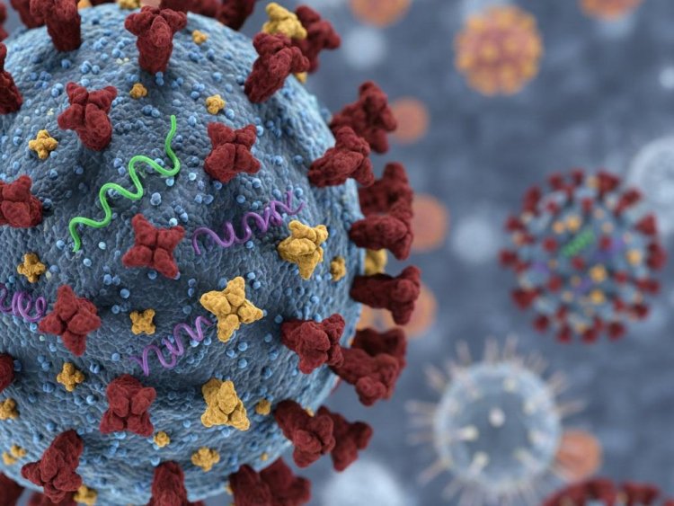 Kemenkes Pastikan Influenza A(H3N2) Subclade K di Indonesia Terkendali