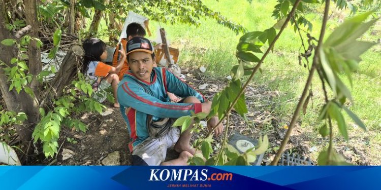 Bertani di Samping Stadion Internasional, Petani Sayur JIS Raup Pendapatan di Atas UMR