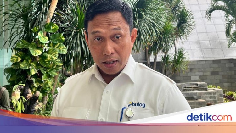 Bantah Harga Beras Melejit, Bos Bulog Jamin Masih Sesuai HET