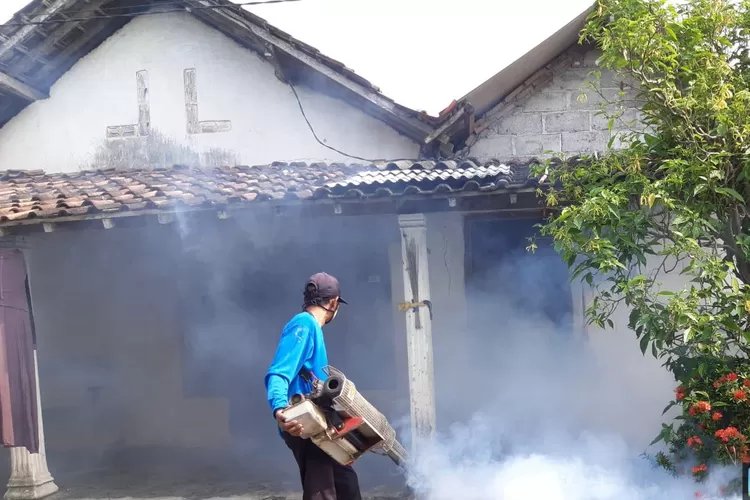 Waspada! Puncak Wabah DBD di Musim Penghujan, Tiga Bulan Dinkes Kediri Temukan 60 Kasus