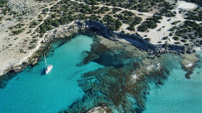 Politisi AS Lempar Candaan, Negara Ini Jadi Target AS Pasca Greenland