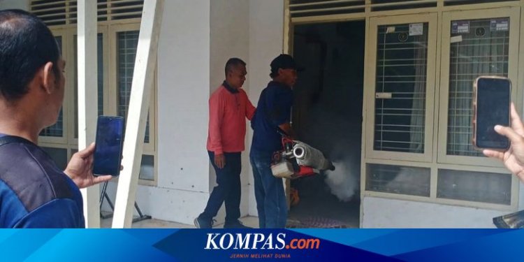 Kasus DBD Mulai Muncul di Bangkalan, Dinkes: Silahkan Lapor, Fogging Gratis