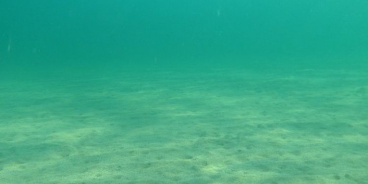 Ilmuwan Uji Klaim Dark Oxygen dari Batu Logam di Dasar Laut