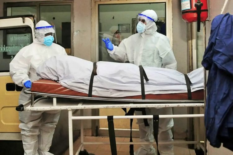 Ancaman Virus Nipah India Menguat, Indonesia Waspada