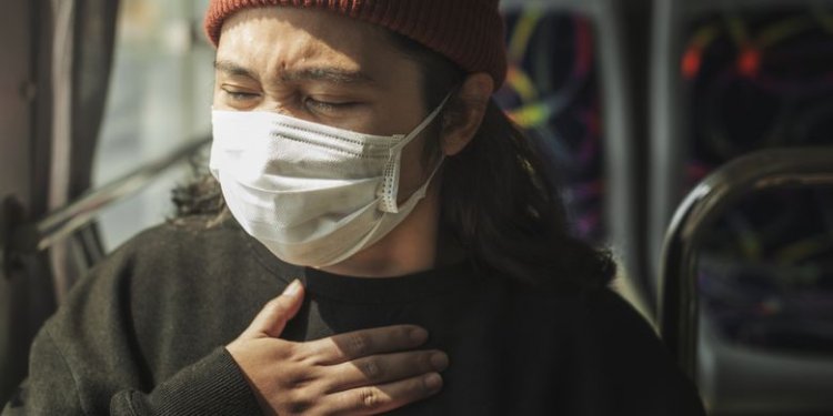 BRIN Ingatkan Potensi Virus Nipah di Indonesia, Kelelawar Jadi Sorotan