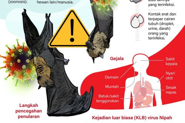 Mewaspadai penyebaran virus nipah