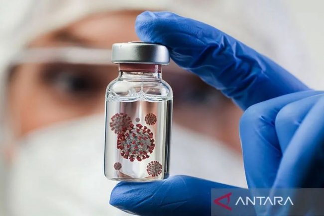 Pakar jelaskan asal mula nama virus nipah