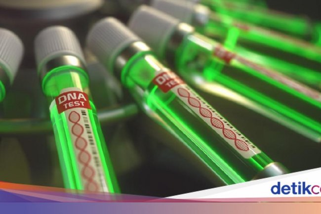 Waspada 'Disease X', Ahli Penyakit Menular Soroti Virus yang Jadi Ancaman di 2026