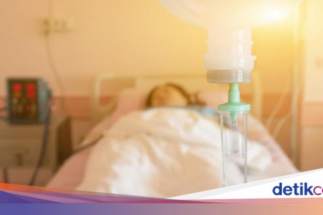 WHO Laporkan Kematian Akibat Virus Nipah di Bangladesh