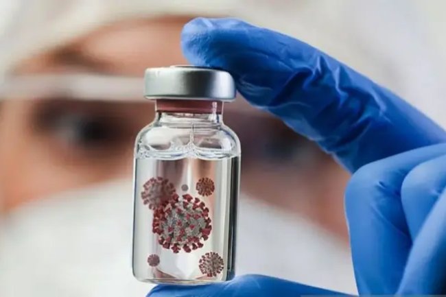 Vietnam Perkuat Pencegahan Virus Nipah Jelang Imlek 2026 di Tengah Peningkatan Mobilitas Warga