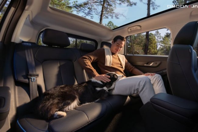 Siasat Jaecoo Membidik Pasar Urban: Mencari Cuan di Balik Gaya Hidup Pet Parents