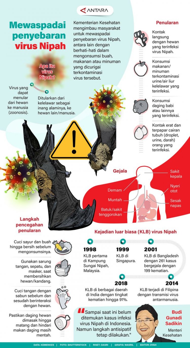 Mewaspadai penyebaran virus nipah
