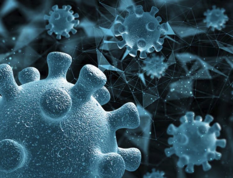 Virus Nipah di India Jadi Sorotan, WHO Beberkan 7 Temuan