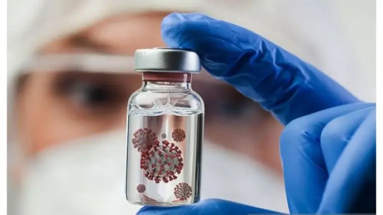 Vietnam Perkuat Pencegahan Virus Nipah Jelang Imlek 2026 di Tengah Peningkatan Mobilitas Warga